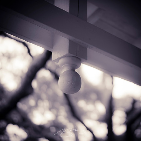 St. Simons Island -8
