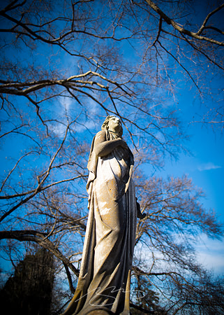 D810-20mm practice -7