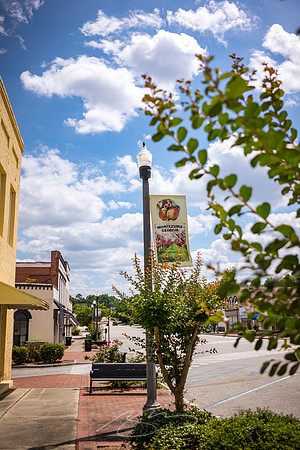 Montezuma - May 2023 - 36 - Montezuma Sign (Crepe Myrtles), S. Dooly St