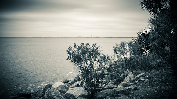 Brunswick-Sydney Lanier Bridge -5