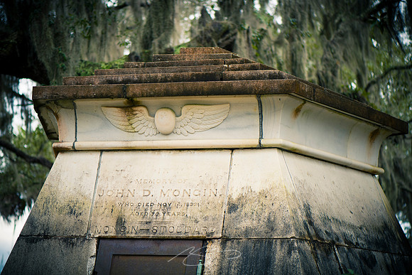 Savannah-Bonaventure -28