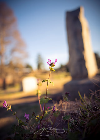 D810-20mm practice -12