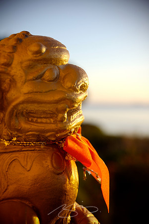 Holiday Foo Dog (at Sunset)