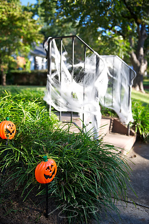 Halloween Decorations