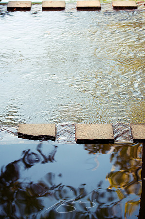Water Feature(s)