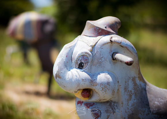 Sunday Macon Photostroll - 15 May 2016 -5