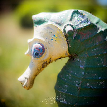 Sunday Macon Photostroll - 15 May 2016 -7