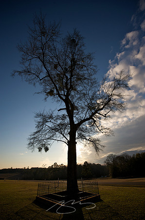 2009 - Andersonville - 19