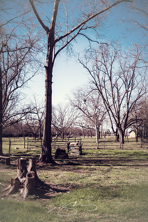 Vintage-Plains-Carter-farm-4
