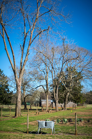 Vintage-Plains-Carter-farm-16