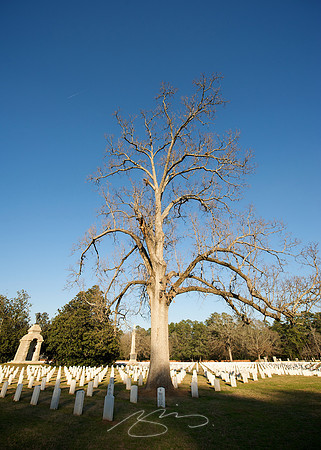 2009 - Andersonville - 10
