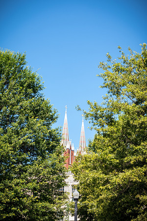 Macon - May 2022 - 40 - St. Joseph's Through the Trees, Macon