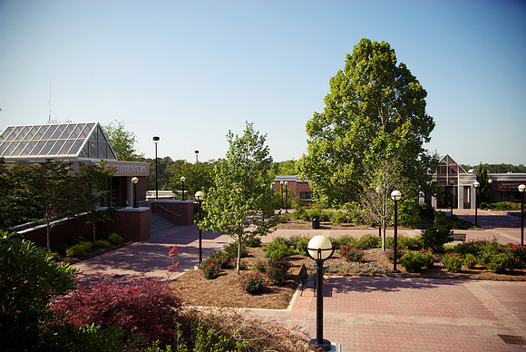 MSC - Upper Courtyard
