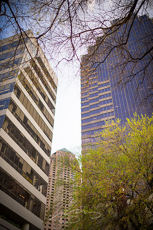 2017 Atlanta - Midtown-80.jpg