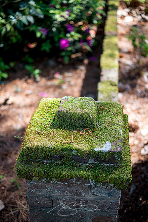 Massee-Lane-Gardens-9
