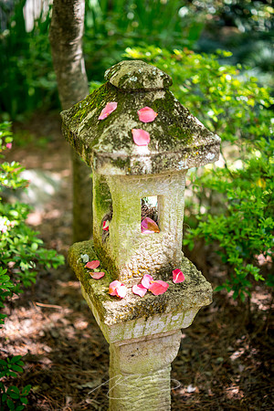 Massee-Lane-Gardens-26