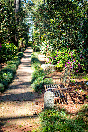 Massee-Lane-Gardens-31
