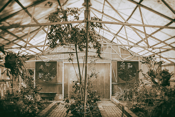 Massee-Lane-Gardens-35