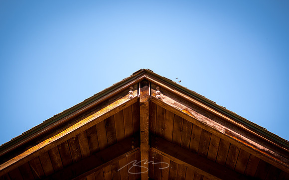 Massee-Lane-Gardens-37
