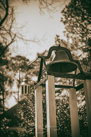 Massee-Lane-Gardens-40
