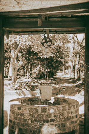 Massee-Lane-Gardens-41