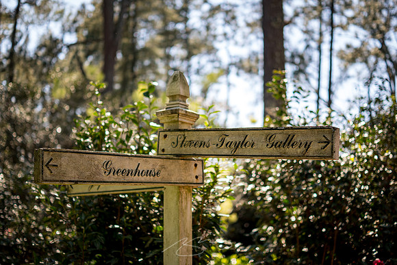 Massee-Lane-Gardens-43