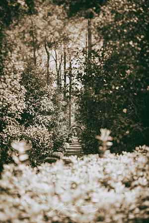 Massee-Lane-Gardens-44