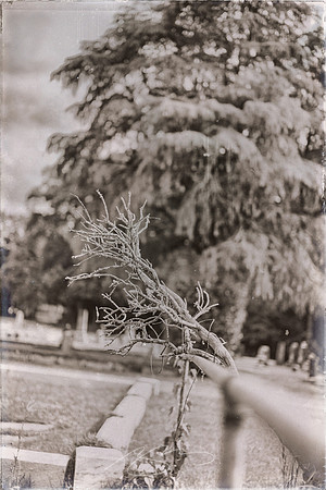 ForsythCemetery2021-3