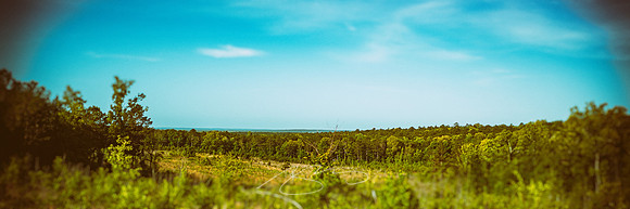 Ocmulgee-Wildlife-Mgmt-Area-1