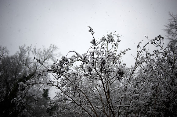 Gray Day, Defined