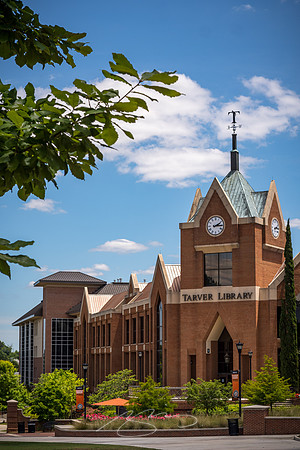Mercer2021-28