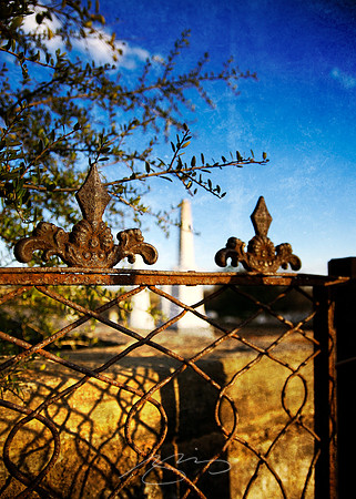 Fence and Stones