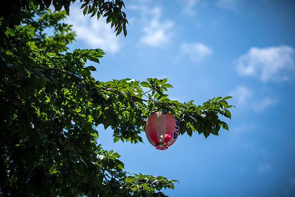 Macon-Downtown_Jun-2021-9