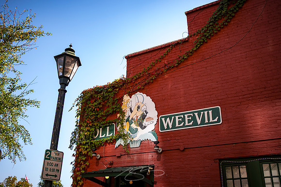 Augusta - September 2023 - 37 - Boll Weevil Cafe and Sweetery, 10 James Brown Blvd