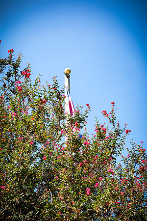 Augusta - September 2023 - 42 - British Flag and Crepe Myrtle, Augusta Riverwalk