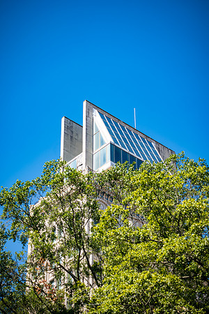 Augusta - September 2023 - 115 - Lamar Through the Treetops, 753 Broad St