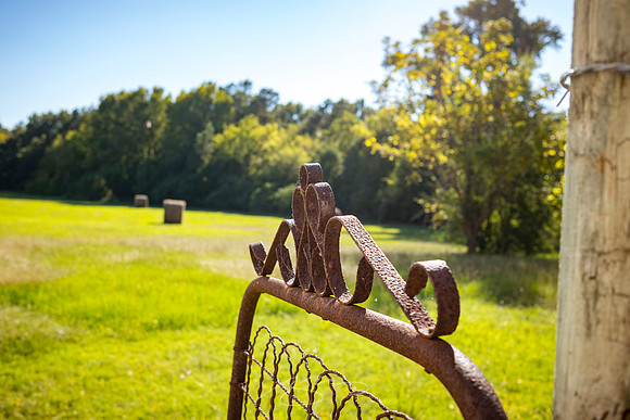 Deepstep - September 2023 - 11 - Gate and Field, 9665 Deepstep Rd