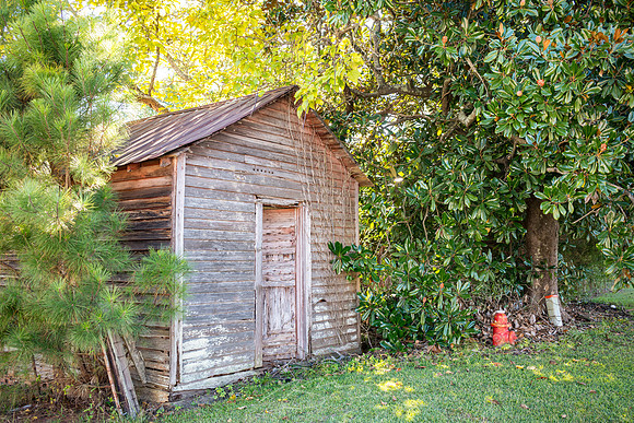 Deepstep - September 2023 - 12 - Outbuilding and Magnolia, 9731 Deepstep Rd