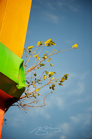 More than a Green Building