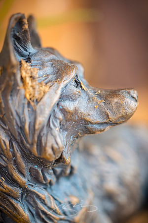Forsyth - May 2025 - 31 - Forsyth Train Depot (Bronze Dog Sculpture), 104-114 E. Adams St., Forsyth