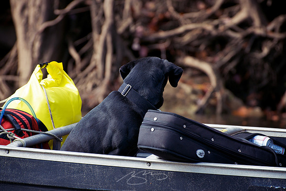Canoeing Essentials