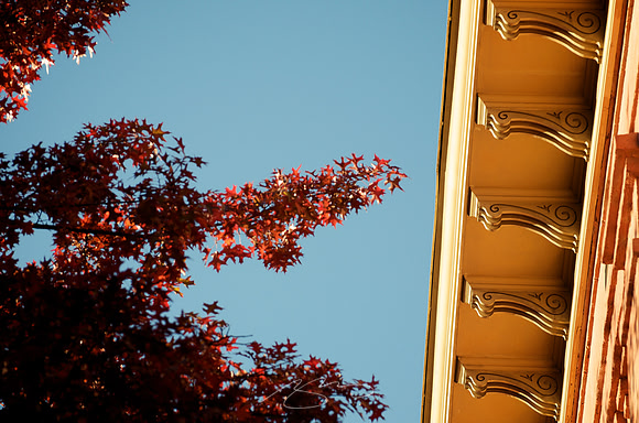 Fall Cornice (Detail)
