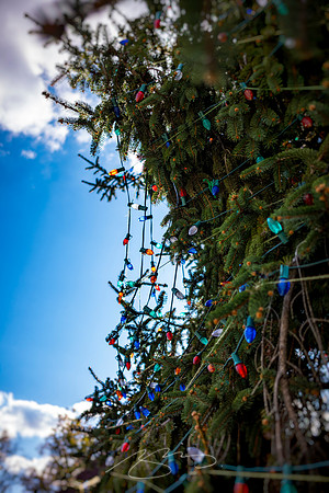 Helen - October 2023 - 4 - Arc of the Holiday (Lights)