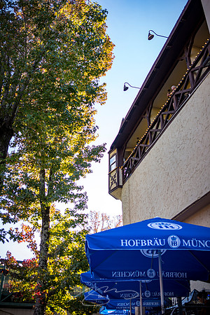 Helen - October 2023 - 9 - Hofbrau and the Balcony