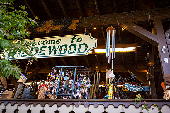 Helen - October 2023 - 16 - Welcome to Wildwood (Chimes)
