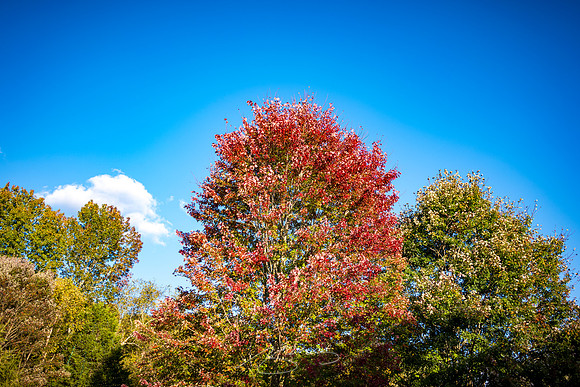Helen - October 2023 - 27 - Signs of Fall (Leaf Peeping)