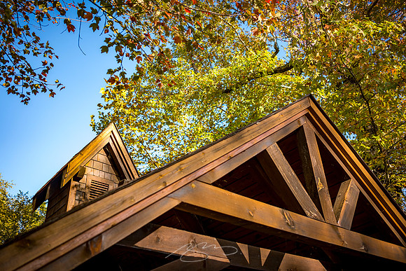 Helen - October 2023 - 29 - River Overlook, Eidelweiss St