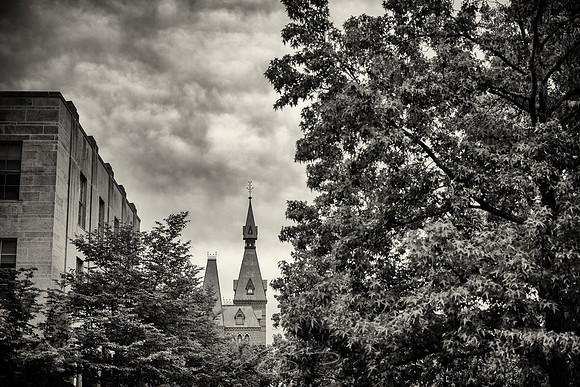 Cornell-University-27