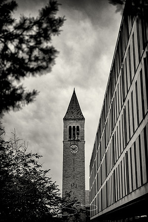 Cornell-University-28