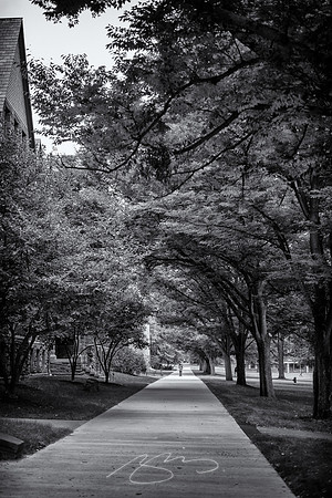 Cornell-University-30